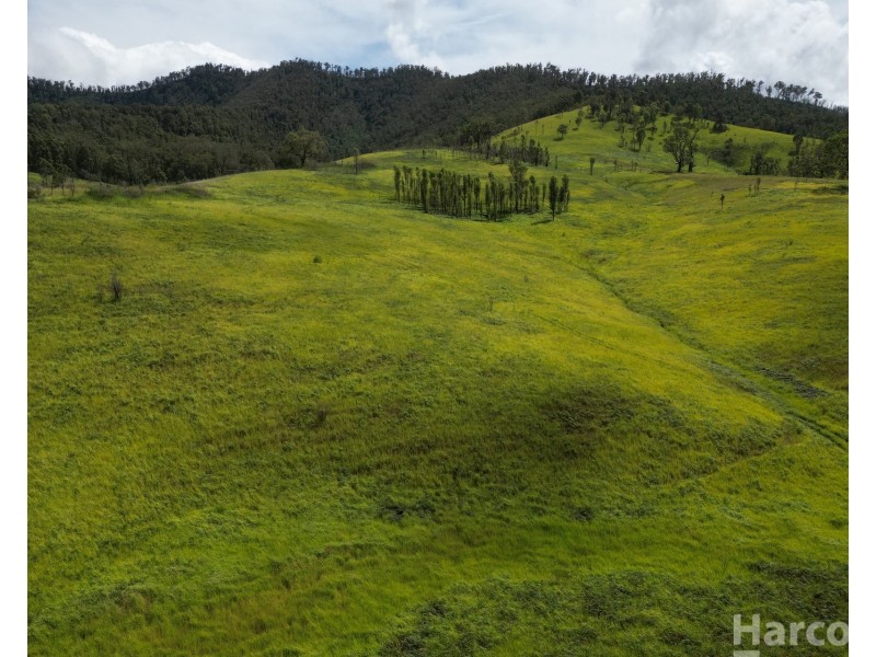 54 Mackenzies Creek Road, Bellbrook NSW 2440