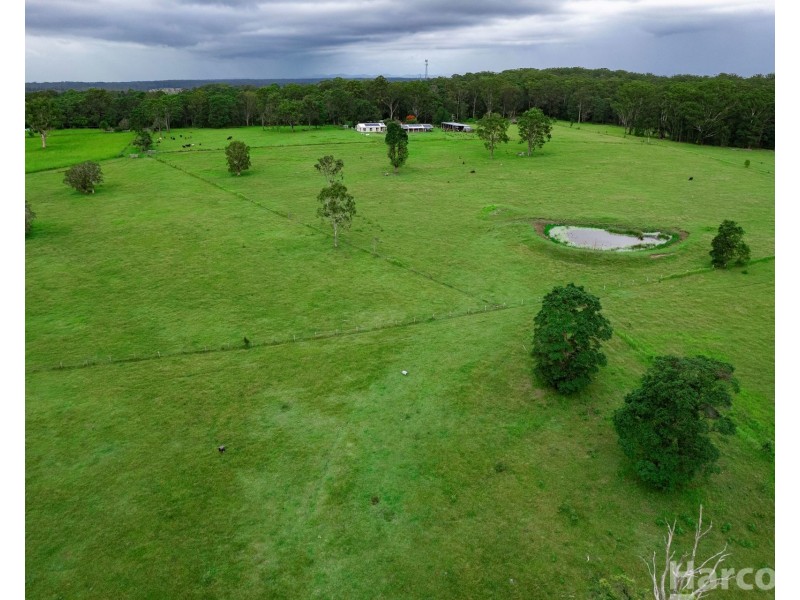 483 Seven Hills Road, Collombatti NSW 2440
