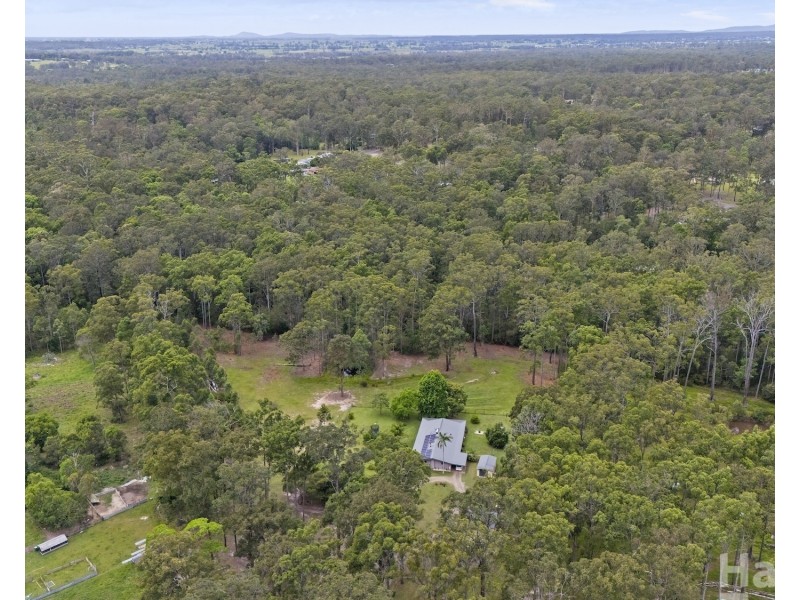 62 Bloodwood Crescent, Yarravel NSW 2440