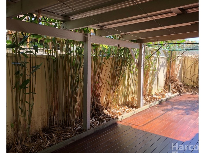 2/159 Gregory Street, South West Rocks NSW 2431