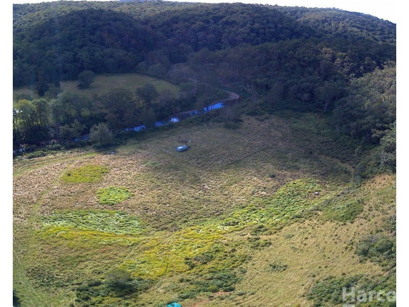 1100 Dungay Creek Road, Wittitrin NSW 2440