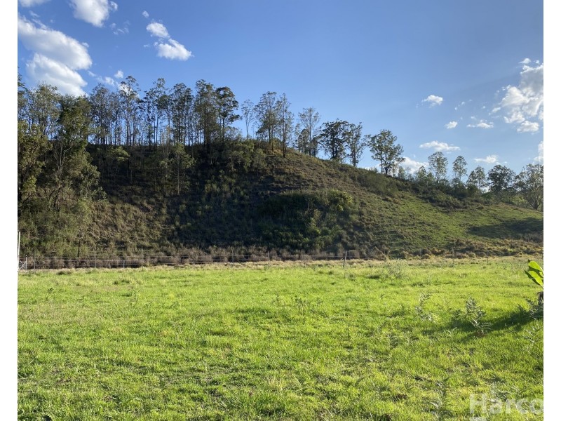 1100 Dungay Creek Road, Wittitrin NSW 2440