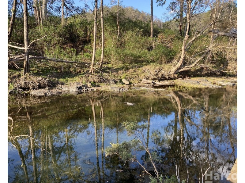 1100 Dungay Creek Road, Wittitrin NSW 2440