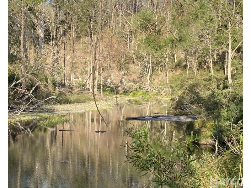 1100 Dungay Creek Road, Wittitrin NSW 2440