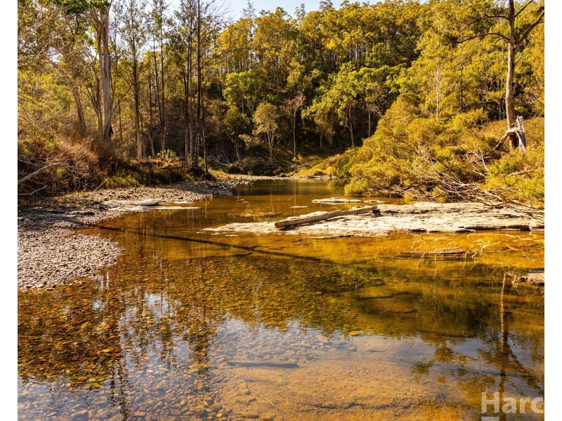 1100 Dungay Creek Road, Wittitrin NSW 2440