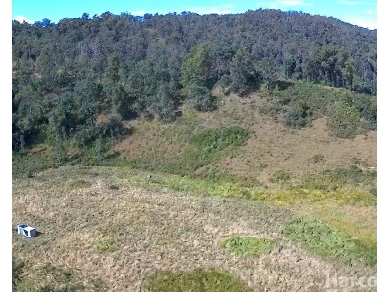 1100 Dungay Creek Road, Wittitrin NSW 2440