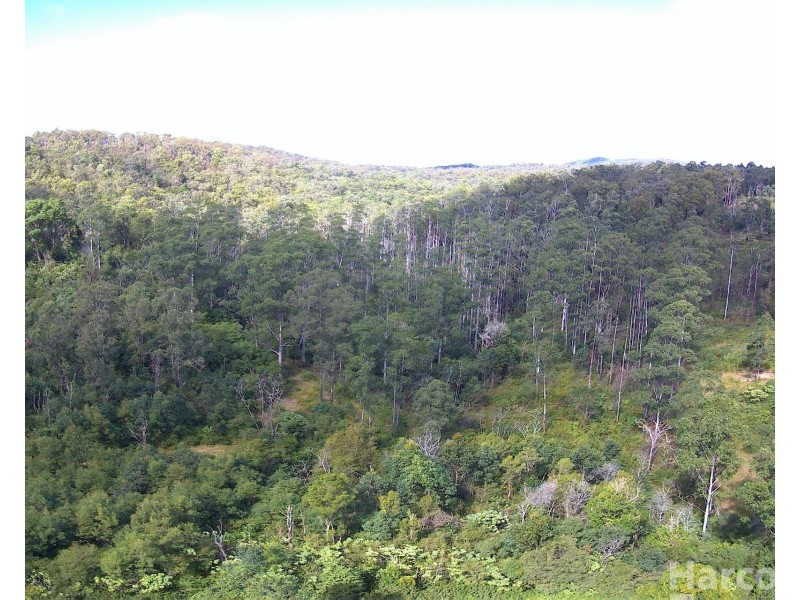 1100 Dungay Creek Road, Wittitrin NSW 2440