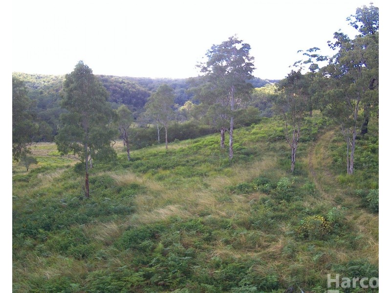 1100 Dungay Creek Road, Wittitrin NSW 2440