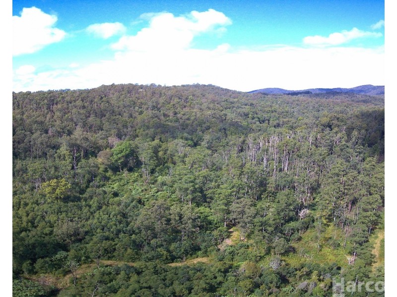 1100 Dungay Creek Road, Wittitrin NSW 2440