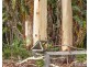 16 Haven Crescent, Yarravel NSW 2440