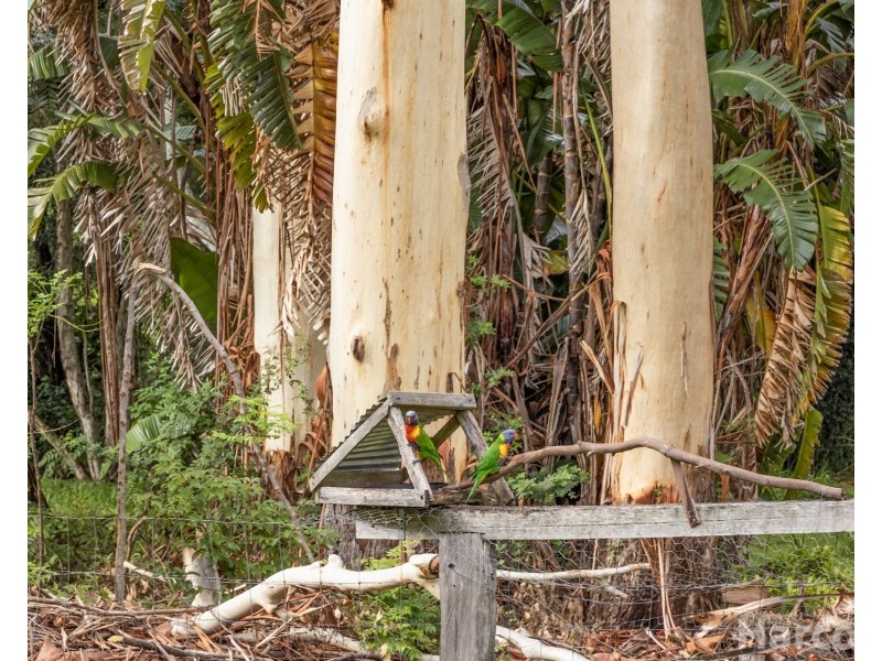 16 Haven Crescent, Yarravel NSW 2440