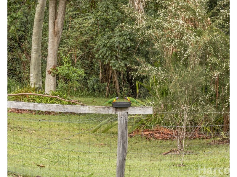16 Haven Crescent, Yarravel NSW 2440