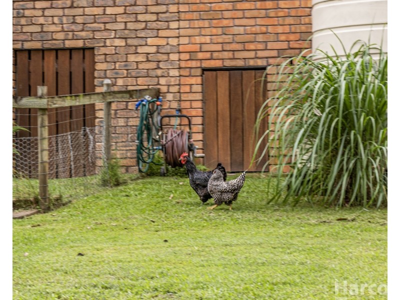 16 Haven Crescent, Yarravel NSW 2440