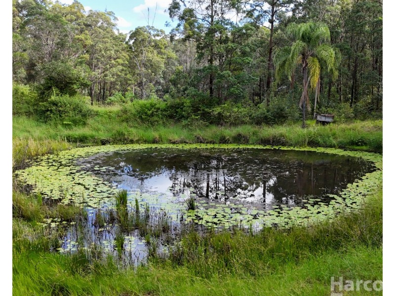 32 Earth First Road, Mungay Creek NSW 2440