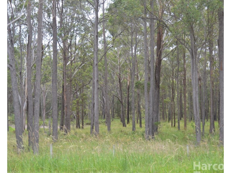 Lot Lot 2 & Lo,  Cooks Lane, Clybucca NSW 2440