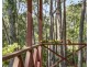 43  Smoky Ridge Drive, Arakoon NSW 2431