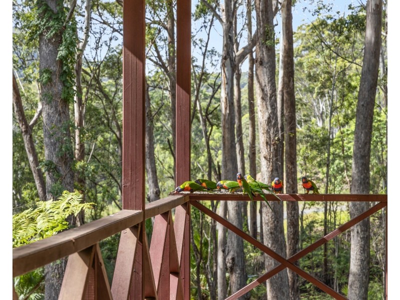 43  Smoky Ridge Drive, Arakoon NSW 2431