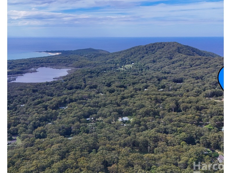 43  Smoky Ridge Drive, Arakoon NSW 2431