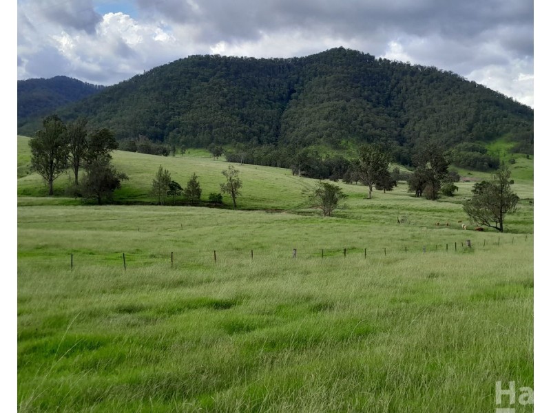 8314 Kempsey Road, Lower Creek NSW 2440