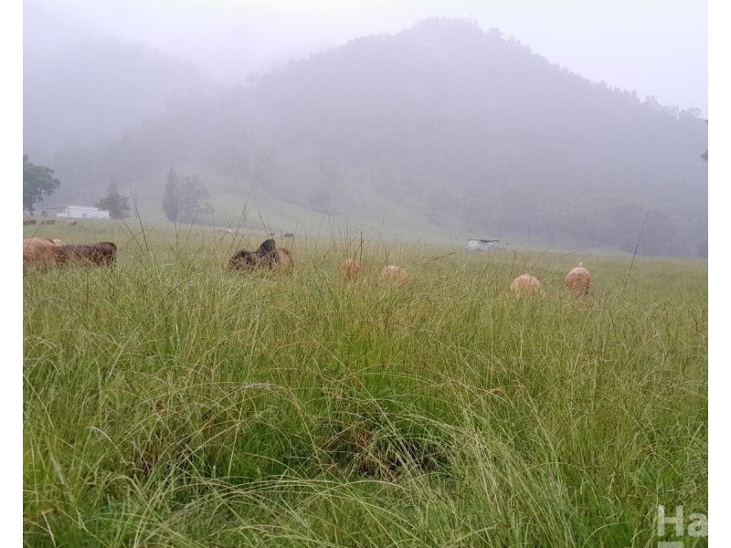 8314 Kempsey Road, Lower Creek NSW 2440