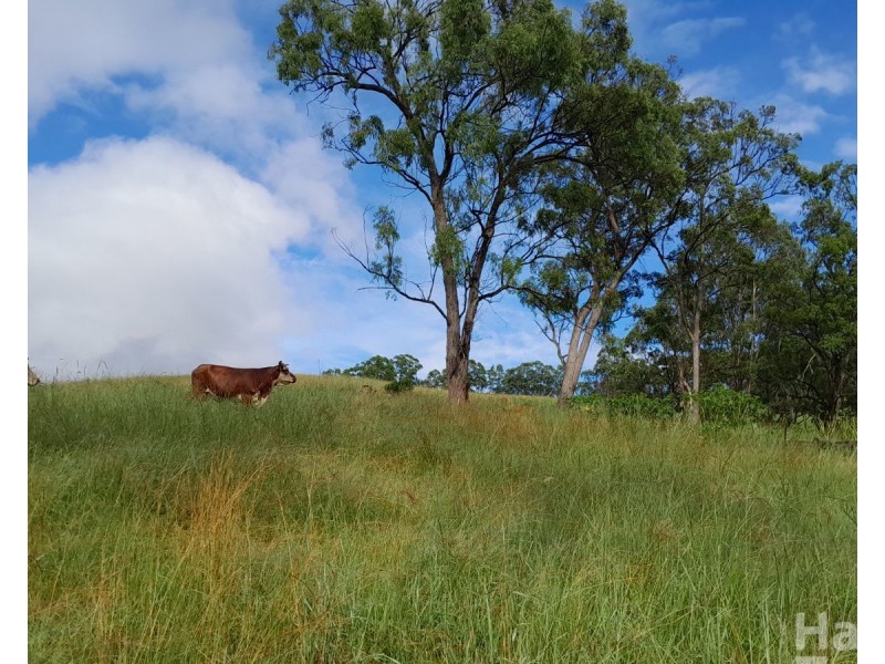 8314 Kempsey Road, Lower Creek NSW 2440