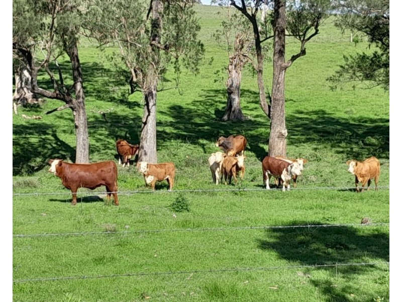 8314 Kempsey Road, Lower Creek NSW 2440