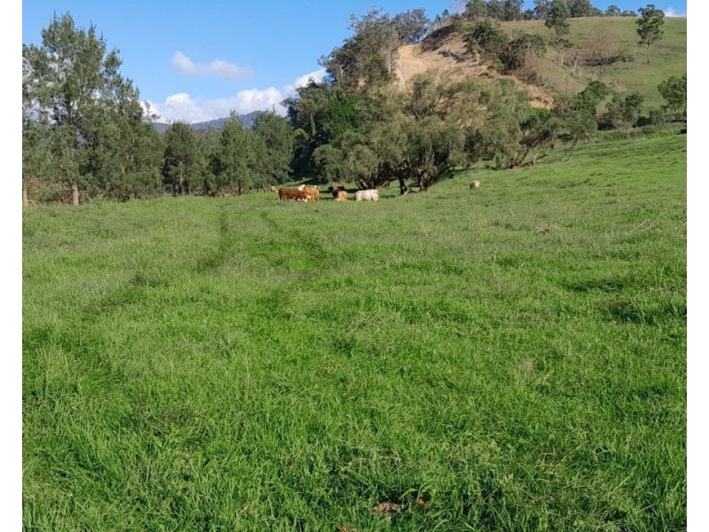 8314 Kempsey Road, Lower Creek NSW 2440