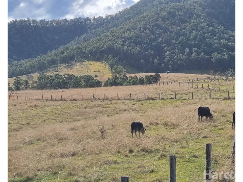 Lot 14, 7986     Kempsey Road, Lower Creek NSW 2440