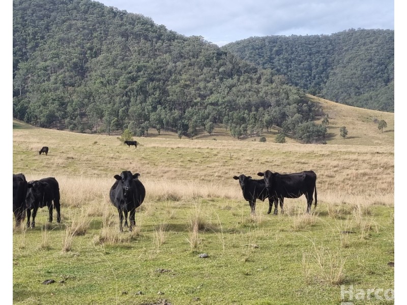 Lot 14, 7986     Kempsey Road, Lower Creek NSW 2440