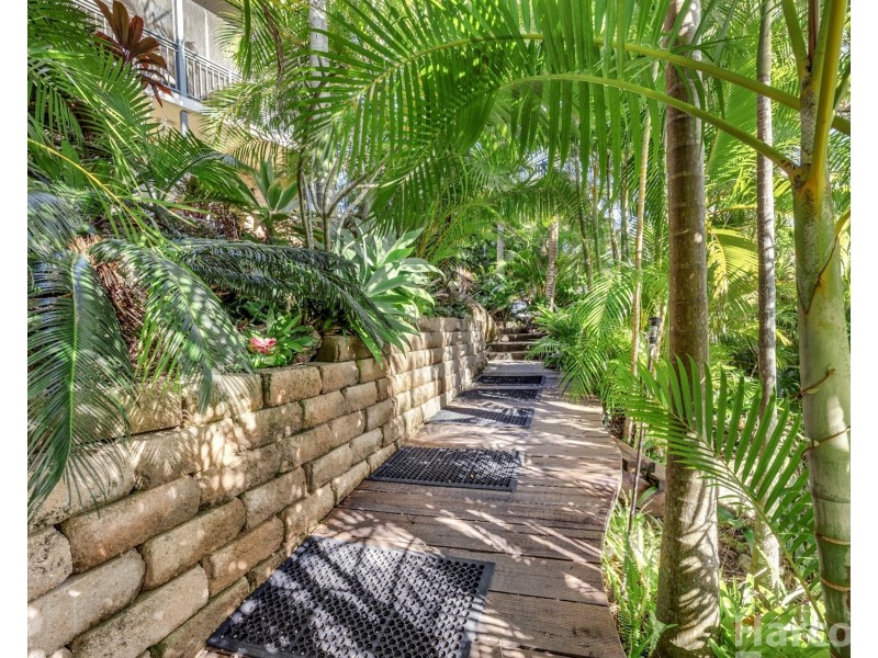 36 Marlin Drive, South West Rocks NSW 2431