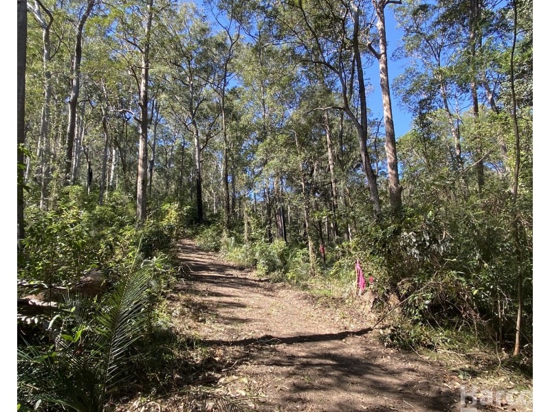 487 Smiths Creek Road, Lower Creek NSW 2440