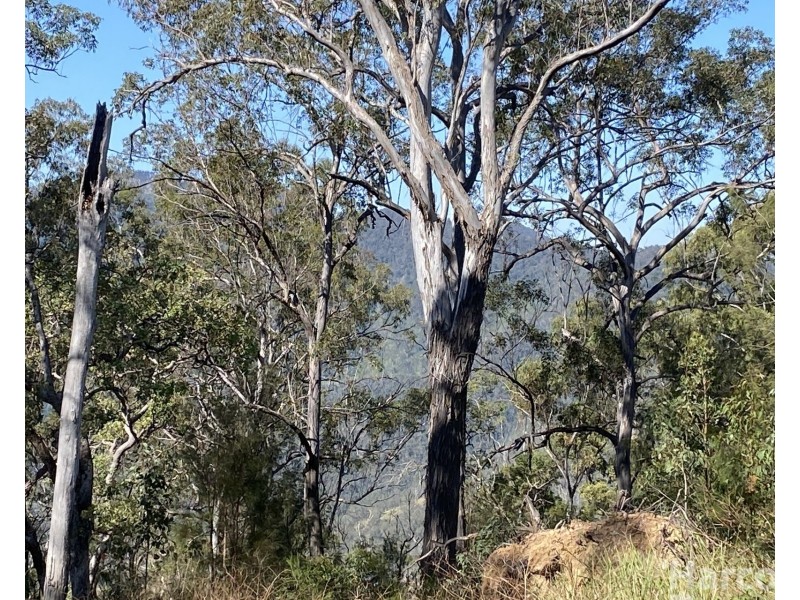 487 Smiths Creek Road, Lower Creek NSW 2440