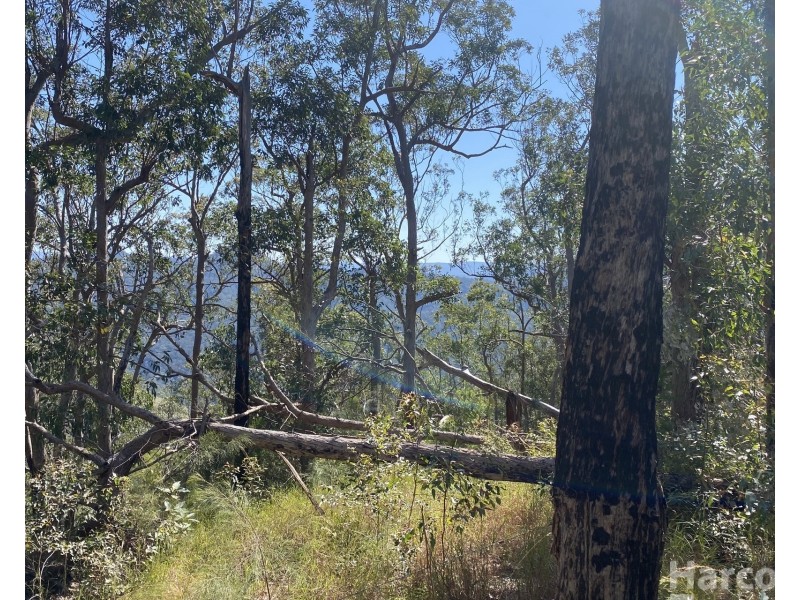 487 Smiths Creek Road, Lower Creek NSW 2440