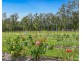 12A Amber Way, Kundabung NSW 2441
