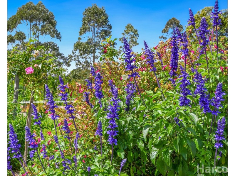 12A Amber Way, Kundabung NSW 2441