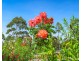 12A Amber Way, Kundabung NSW 2441
