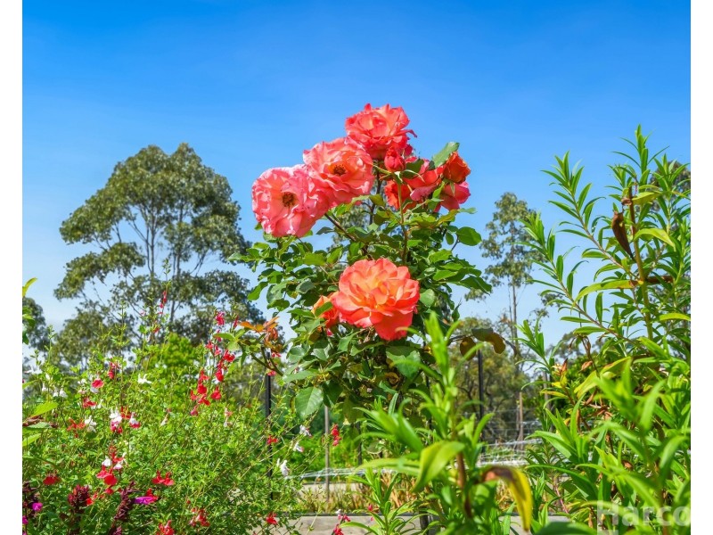 12A Amber Way, Kundabung NSW 2441
