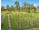 12A Amber Way, Kundabung NSW 2441