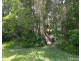 245 Arakoon Road, Arakoon NSW 2431