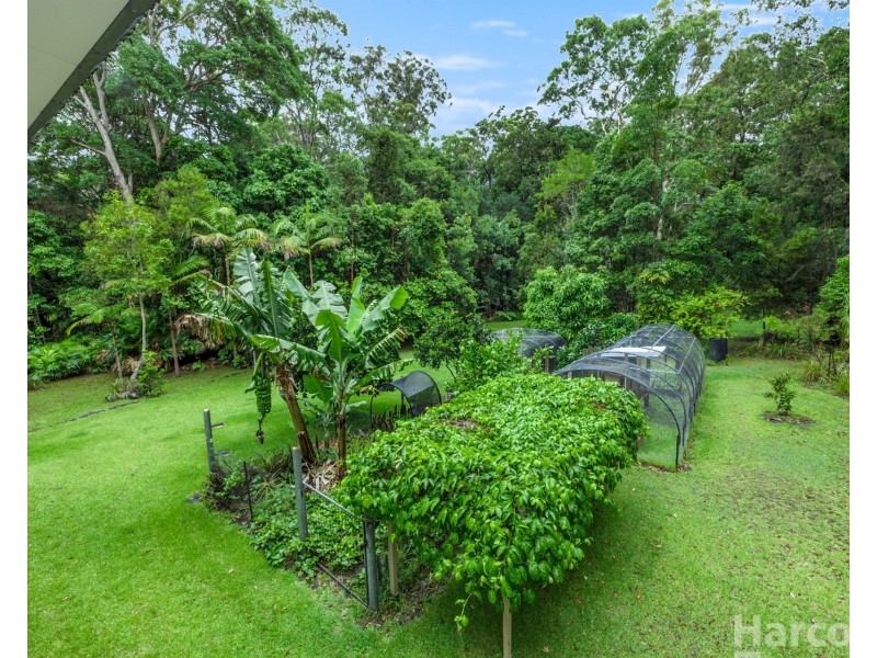 13 Palm Grove, Arakoon NSW 2431