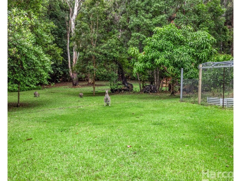 13 Palm Grove, Arakoon NSW 2431
