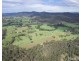 158 Hickeys Creek Road, Hickeys Creek NSW 2440
