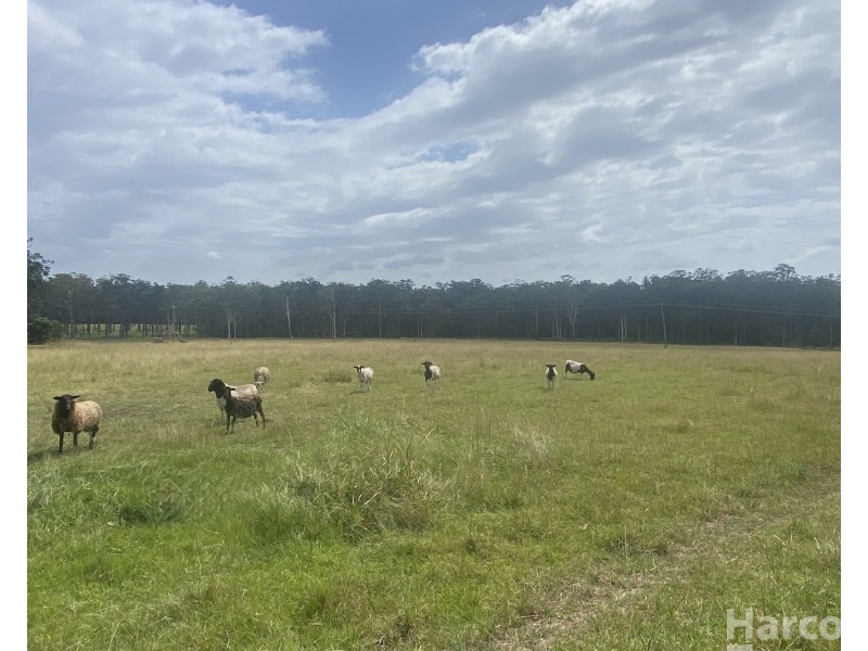 35 Kundabung Road, Kundabung NSW 2441