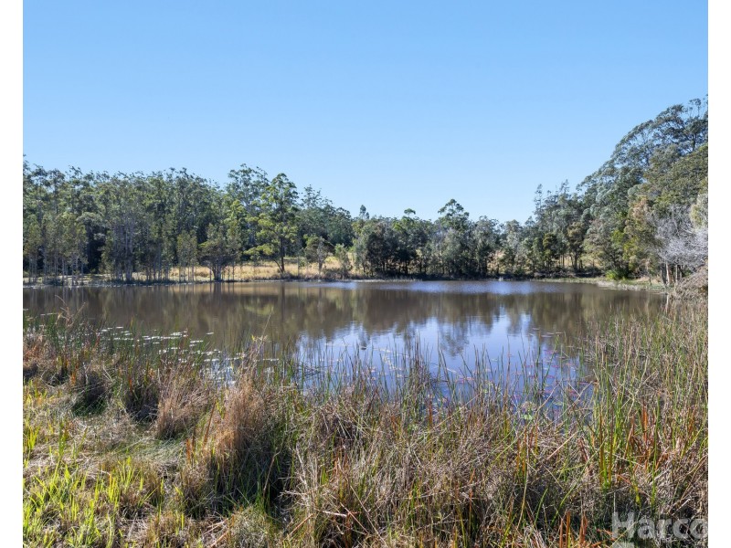 61 Carlyle Road, Kundabung NSW 2441