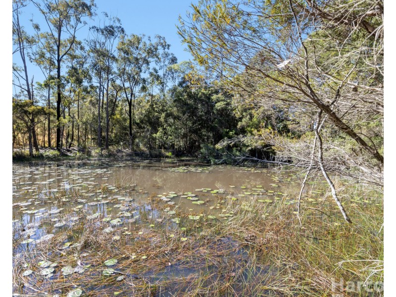 61 Carlyle Road, Kundabung NSW 2441