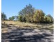 61 Carlyle Road, Kundabung NSW 2441