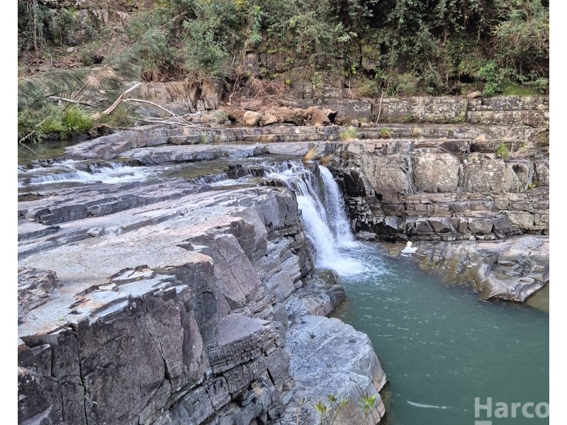 297 Eight Mile Road, Wittitrin NSW 2440