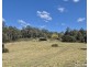 297 Eight Mile Road, Wittitrin NSW 2440