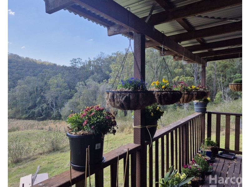 297 Eight Mile Road, Wittitrin NSW 2440