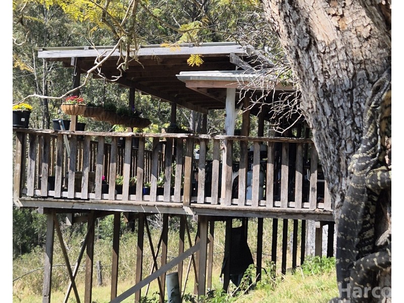 297 Eight Mile Road, Wittitrin NSW 2440